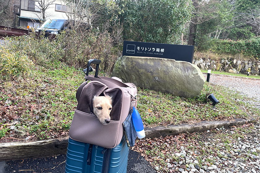 お宿へのアプローチはじゃり道なので足元に注意して