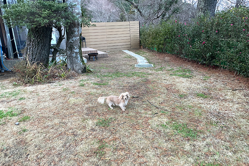 子供と愛犬が一緒に安心して遊べるガーデンドッグラン