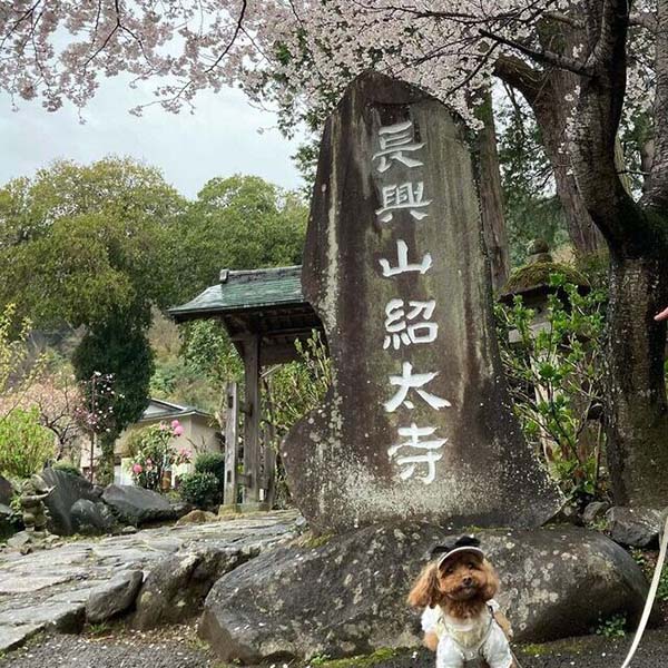 入生田長興山 紹太寺で記念撮影