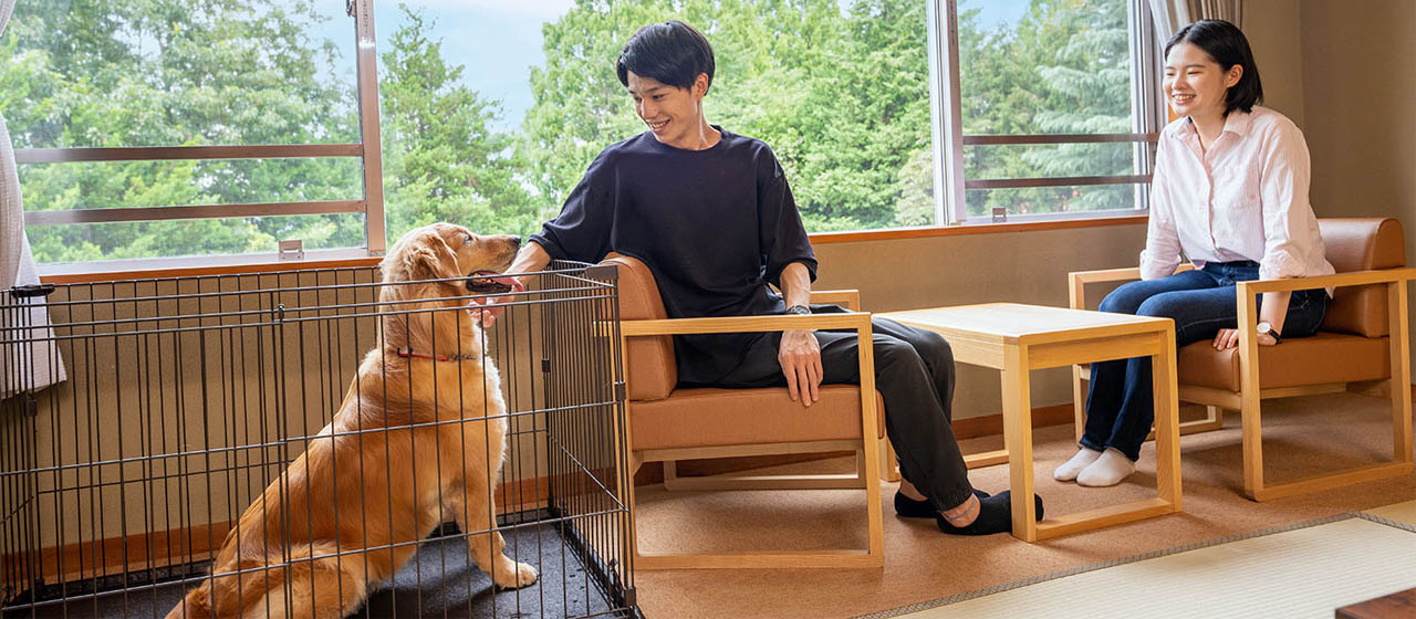 愛犬と楽しむ温泉旅行