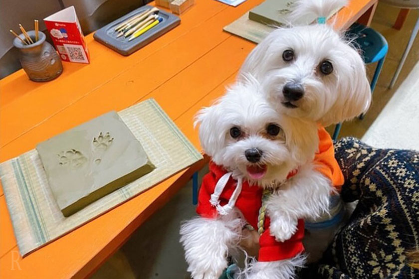 愛犬と共同作業！手形で旅の記念品を作ろう『淡路島かわらや』
