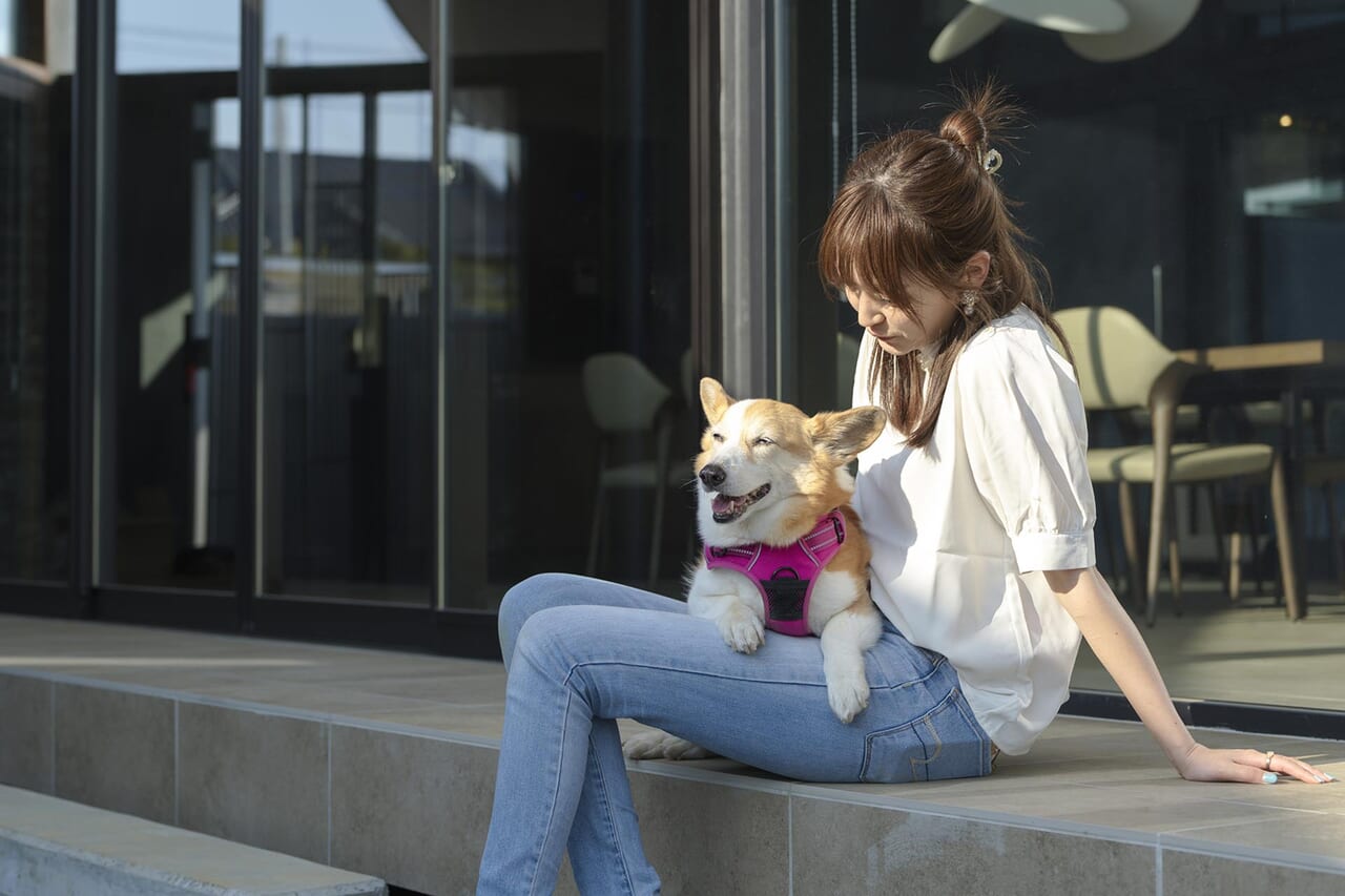 愛犬との特別な時間を過ごす3つの宿泊タイプ