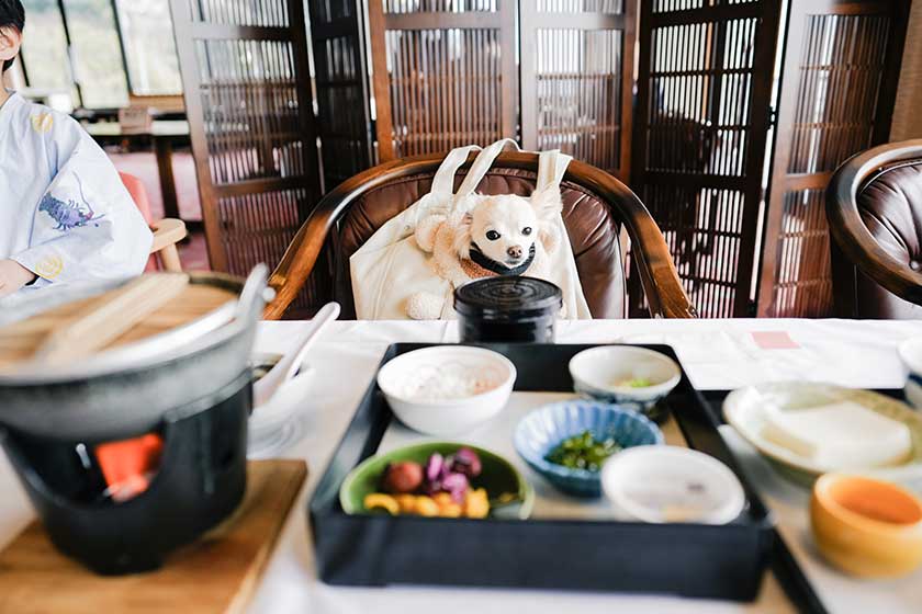 ご飯が進む美味しい朝食