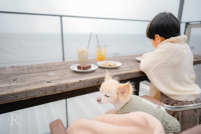 おしゃれなカフェでティータイム