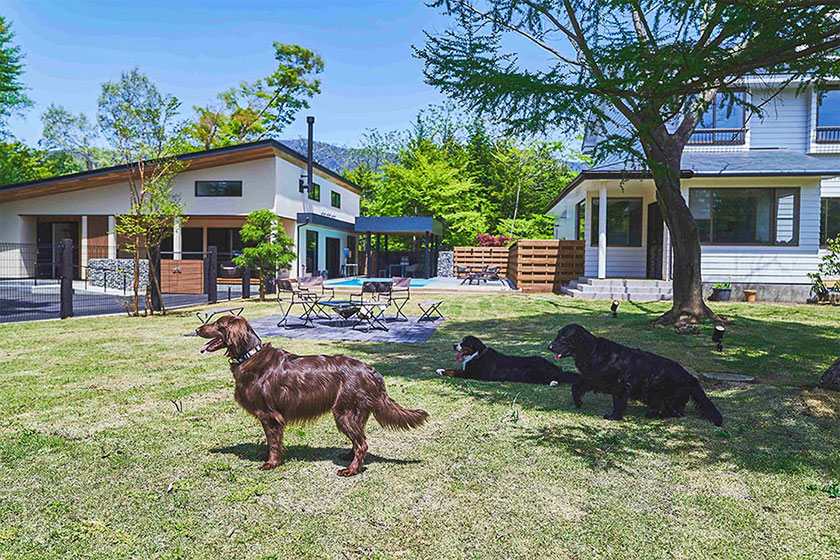 大型犬も含むペット4頭まで宿泊無料