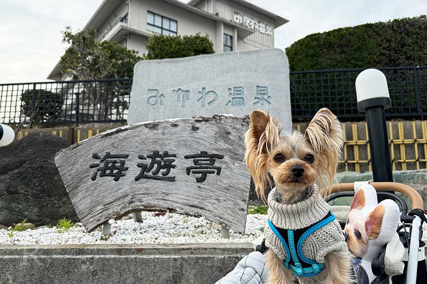 三河湾に面した老舗温泉宿