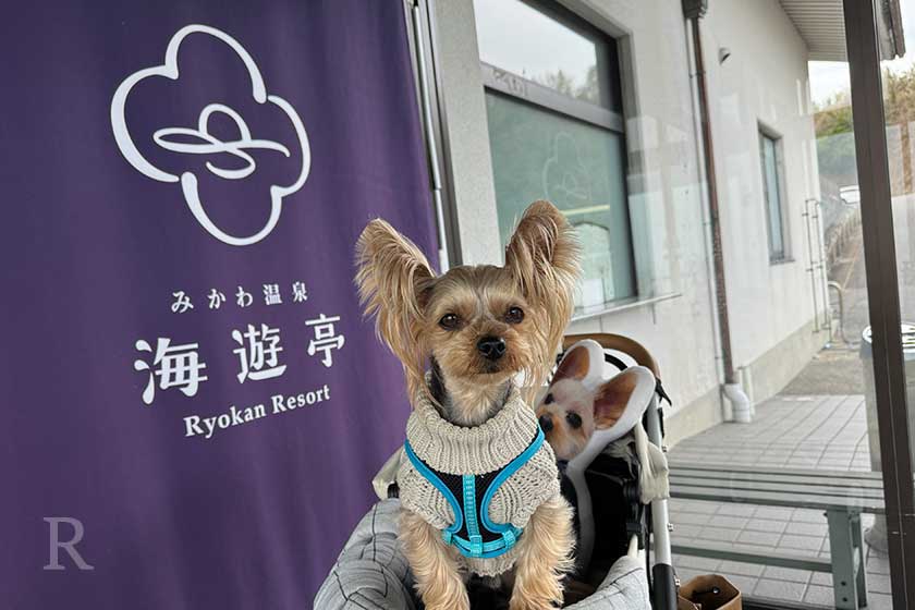 みかわ温泉 海遊亭