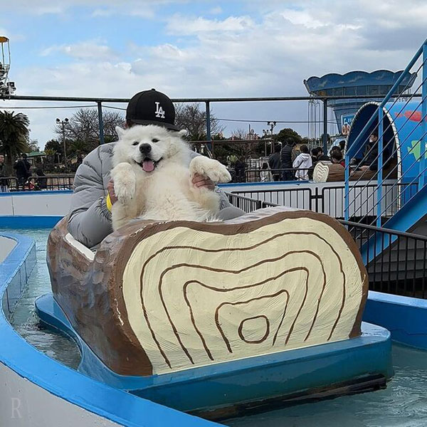 東海エリアで愛犬と一緒に楽しめるおでかけスポット 伊豆ぐらんぱる公園