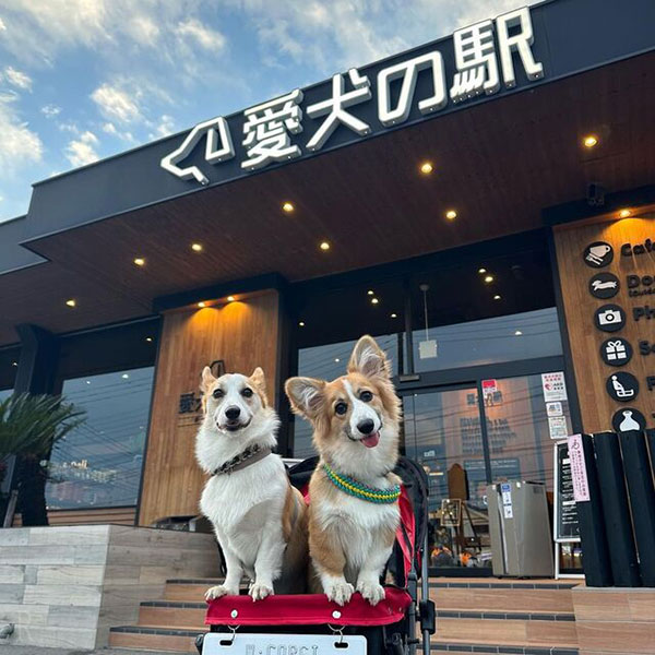 東海エリアで愛犬と一緒に楽しめるおでかけスポット 愛犬の駅