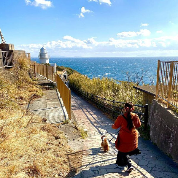 東海エリアで愛犬と一緒に楽しめるおでかけスポット 石廊崎灯台