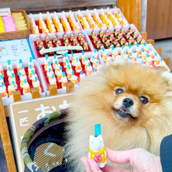 東海エリアで愛犬と一緒に楽しめるおでかけスポット おかげ横丁