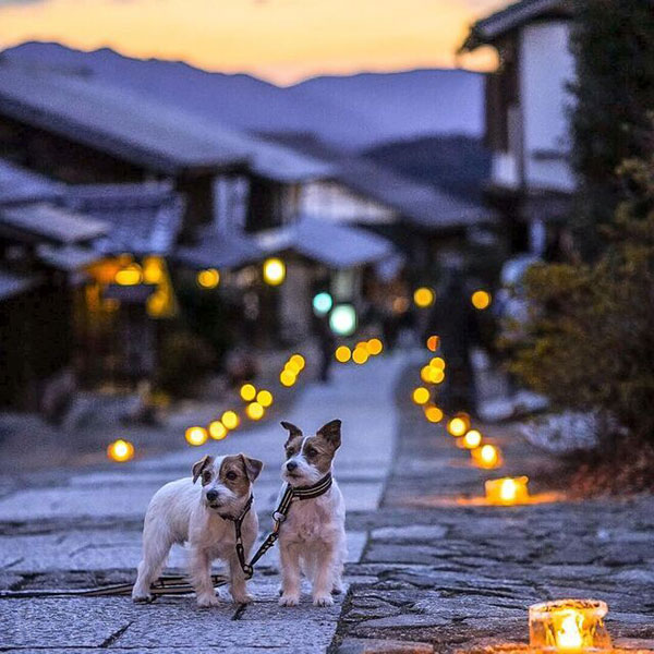 東海エリアで愛犬と一緒に楽しめるおでかけスポット 馬籠宿