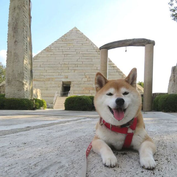 東海エリアで愛犬と一緒に楽しめるおでかけスポット ストーンミュージアム博石館
