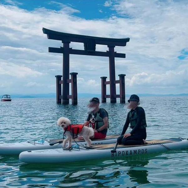 湖中大鳥居を愛犬と一緒にカヌーで参拝『白髭神社』