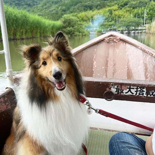 船頭さんによる手漕ぎ舟で愛犬と水郷散歩『水郷のさと まるやま』
