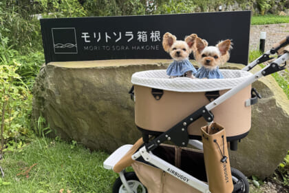 モリトソラ箱根