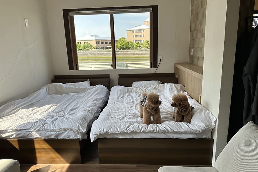 使い勝手の良いおしゃれなお部屋