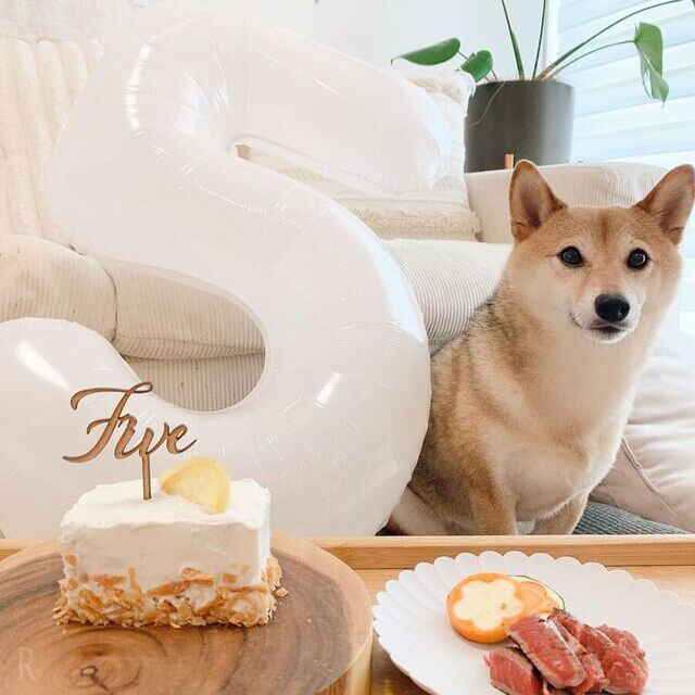 食べられない食材がないか確認する