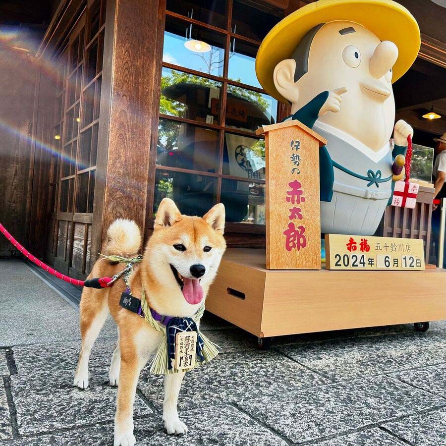 おかげ横丁
