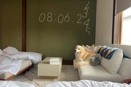 「わんことお宿 広島草津荘」にはなとお邪魔しました。