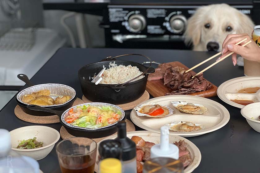 豪華BBQを羨ましそうに見つめるはな