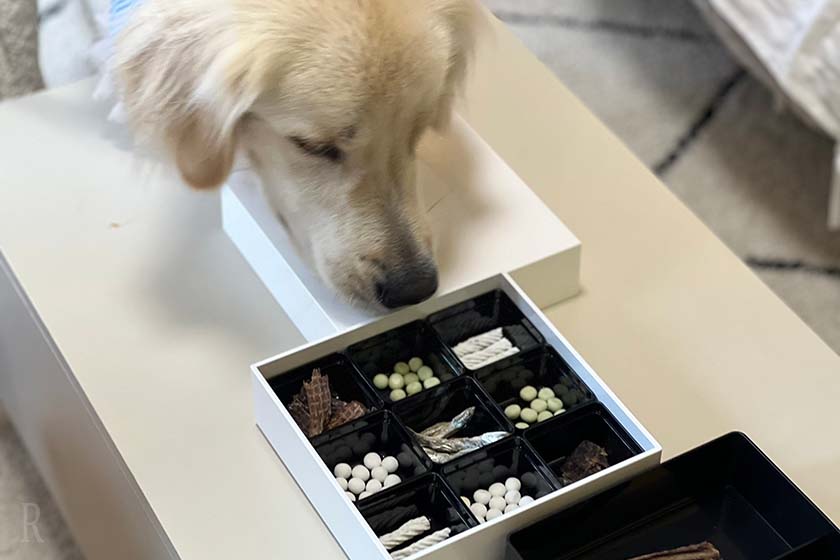 おやつBOXに大興奮