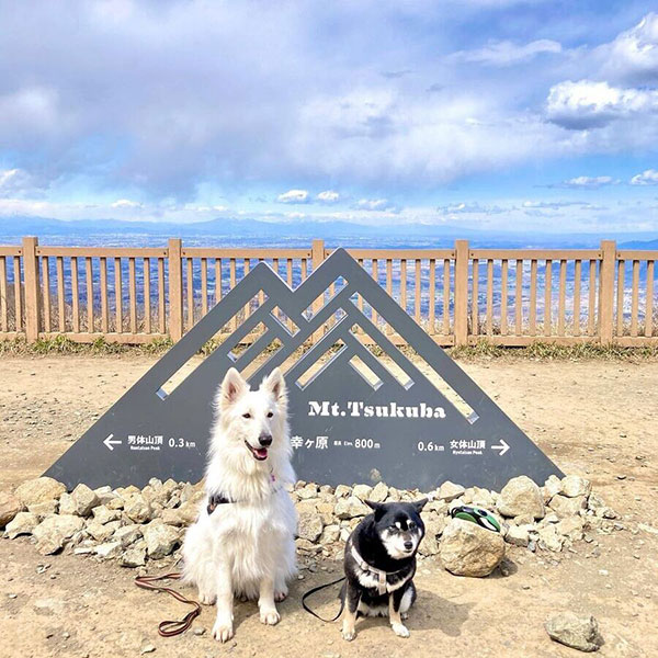 「筑波山」愛犬と一緒に登山