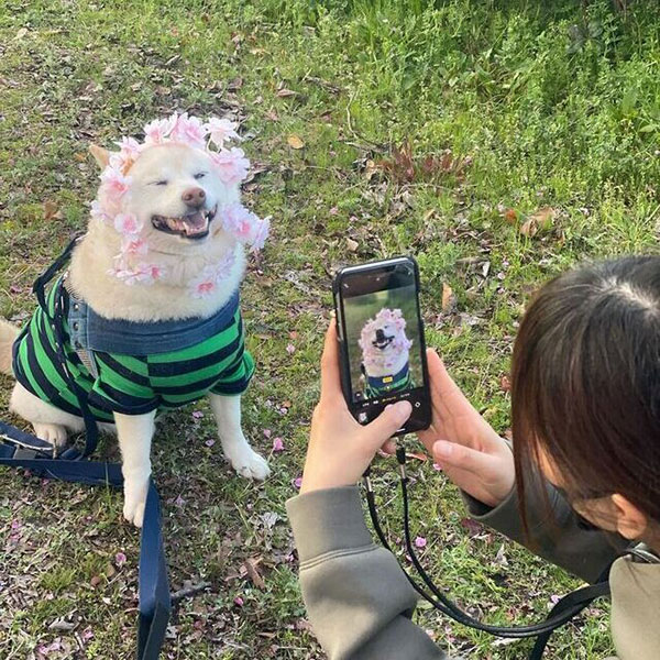愛犬をタップしてピントを合わせて