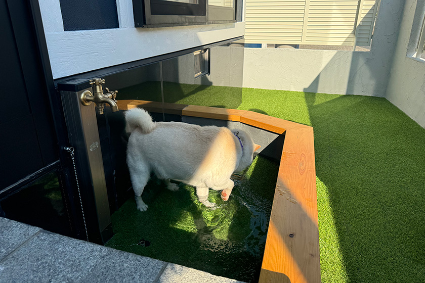 プールとしても利用できる足洗い場