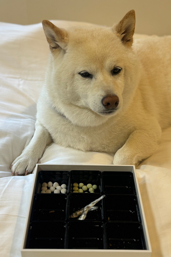 おやつの試食会