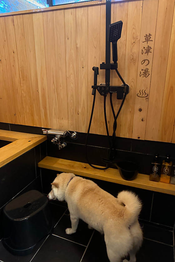 愛犬と一緒に入れるお風呂