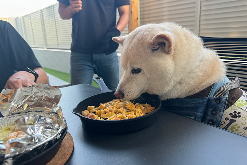 愛犬にも広島焼きのサービス