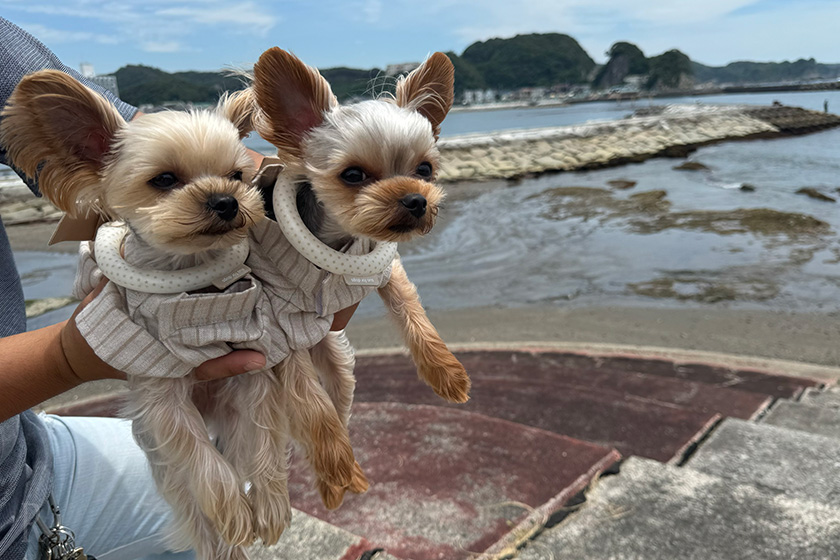 お宿の近くには海水浴場でパシャリ