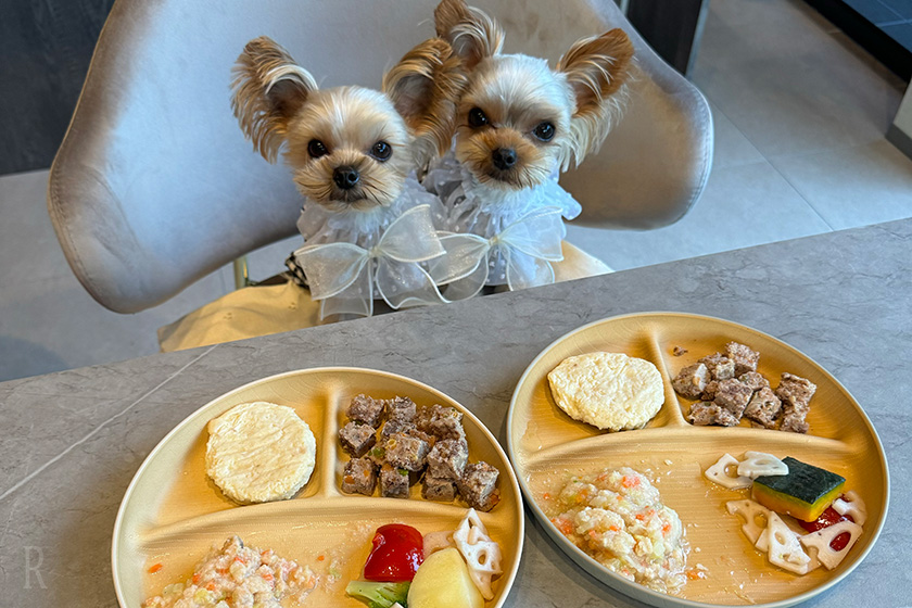 愛犬たちにもスペシャルディナーを