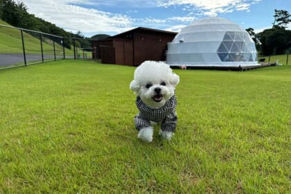 オープンに先駆けて空とクルムが志摩グリーンアドベンチャーの全貌をお届けします。