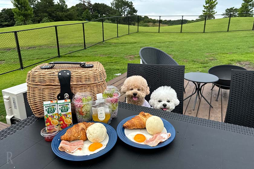 朝ごはんを前に笑顔の空とクルム
