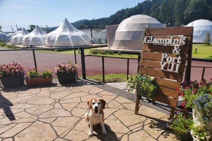 グランピングポート結の看板と一緒に写るジョージ