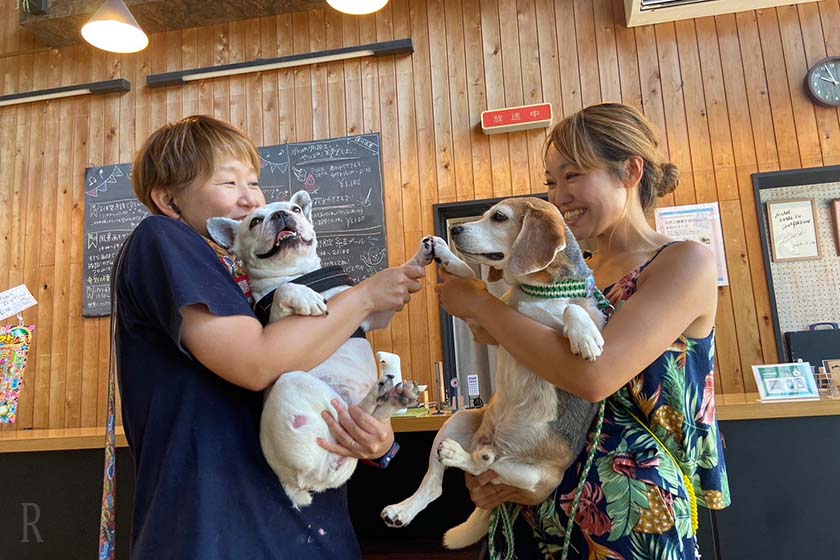 看板犬のメイちゃんとジョージでハイタッチ