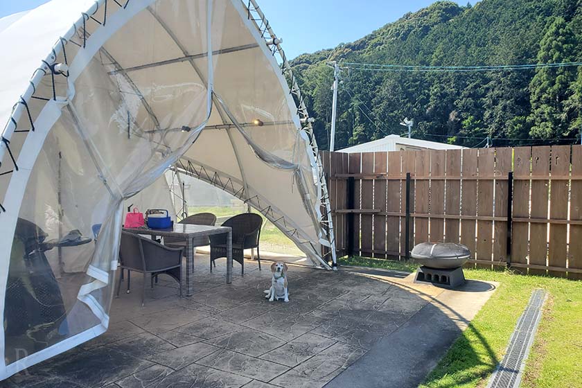 テントの陰でくつろぐジョージ