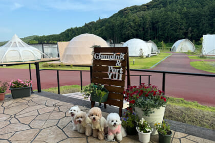 グランピングポート結での一泊二日を空とクルムがご紹介します。