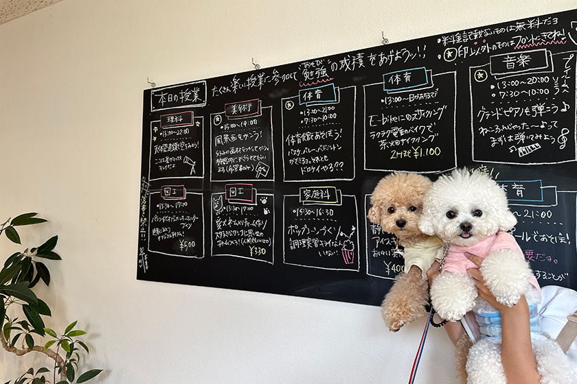 スクールアクティビティが書かれた黒板の前での１枚
