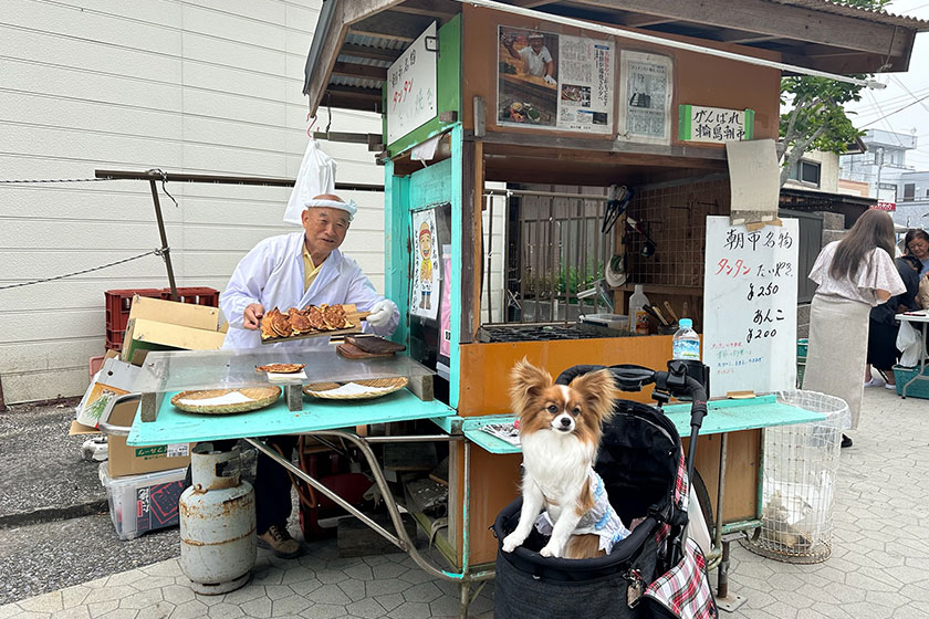 千葉県勝浦市の朝市