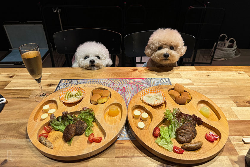 犬用ごはんも豪華です