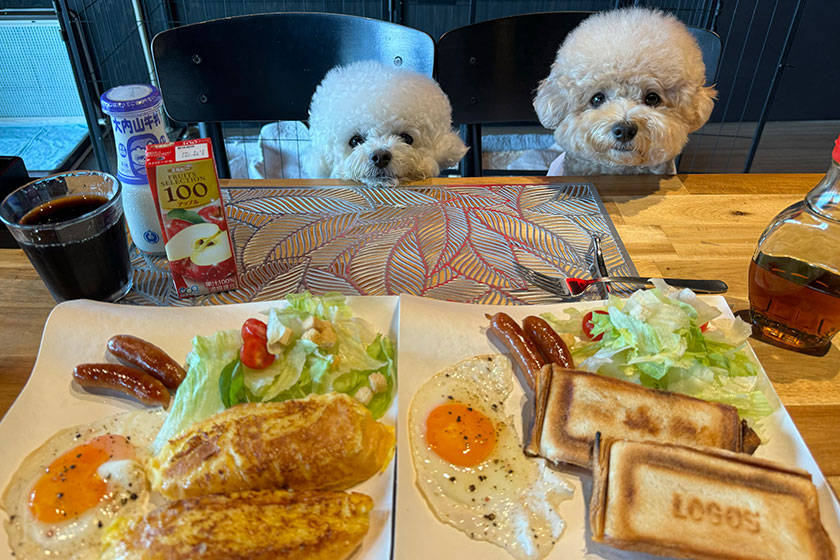 朝食のフレンチトーストとホットサンド