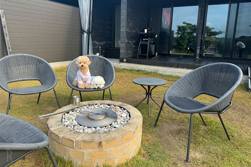 プライベートガーデンとテーブルセットと犬