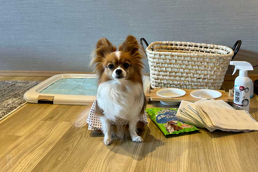 豊富な犬のアメニティグッズ