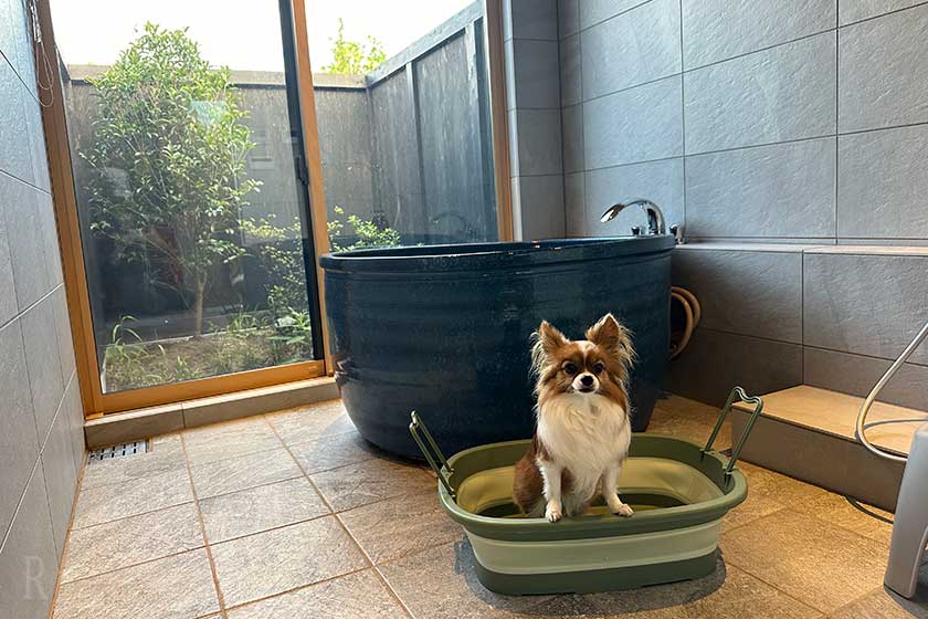 犬用のバスタブとお風呂