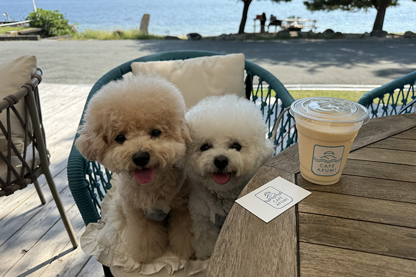 カフェのテラス席