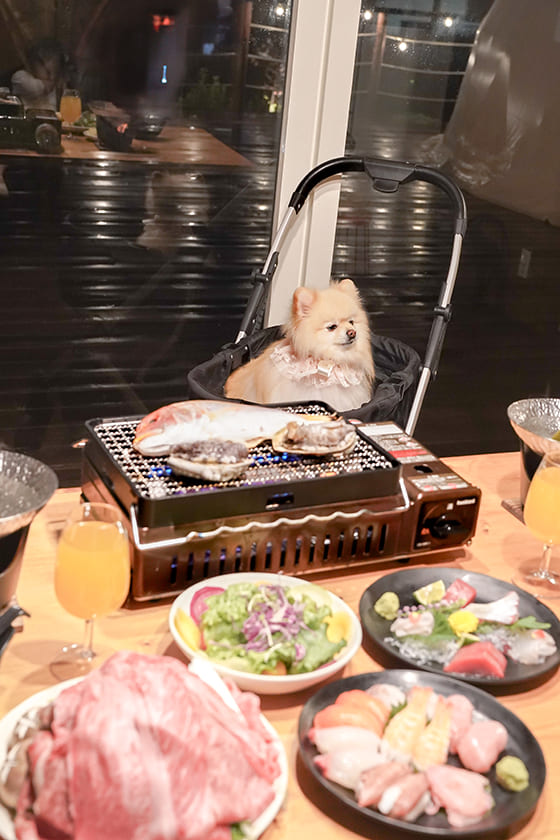 わんこ用のドッグカート