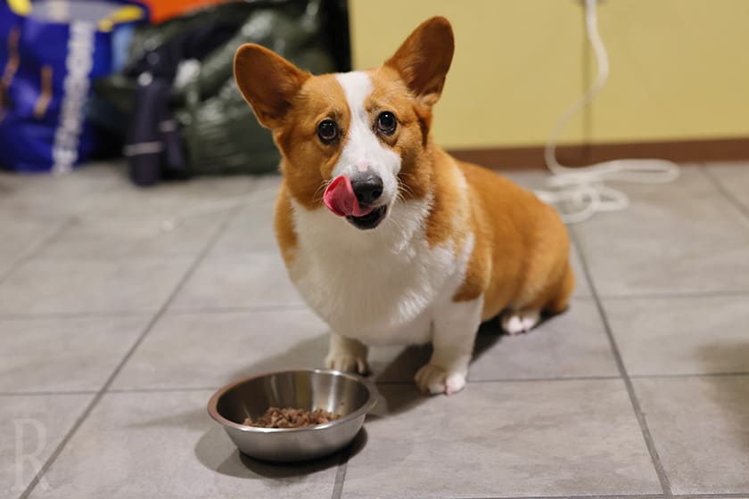 ここでしか食べられないスペシャルフード